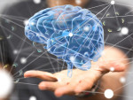 Free Myers-Briggs Personality Test