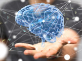 Free Myers-Briggs Personality Test